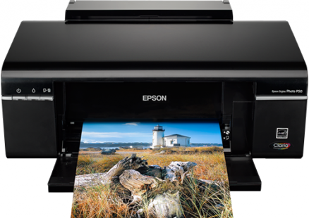 Epson Stylus Photo P50 Inkt cartridge