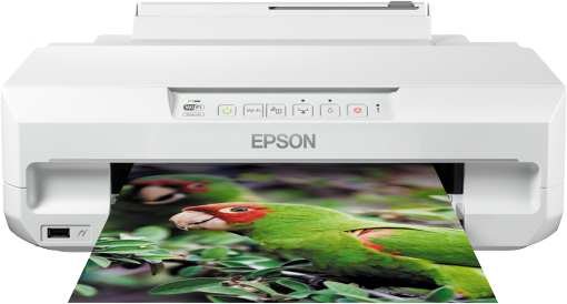 Epson Expression Photo XP-55 Inkt cartridge