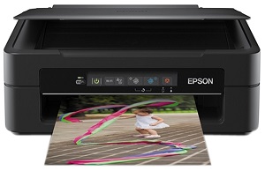 Epson Expression Home XP-225 Inkt cartridge